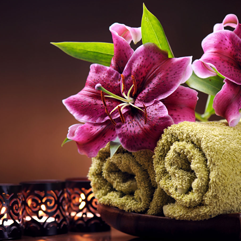 spa spa